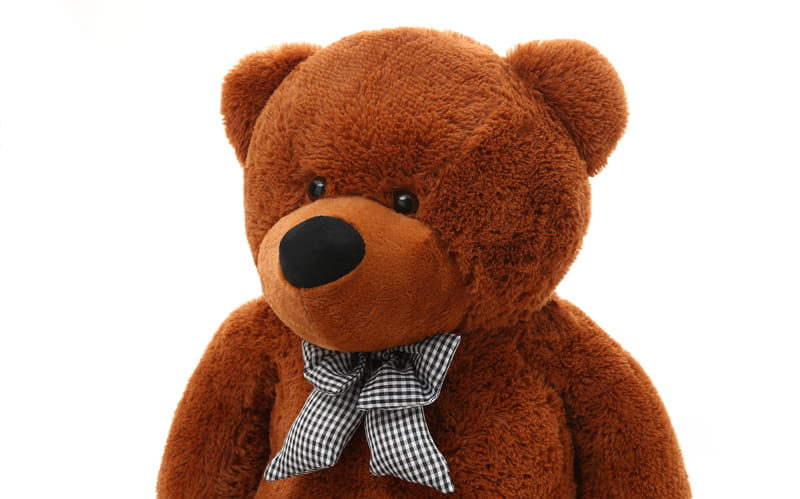 Teddy Bear Giga 180cm Dark Brown